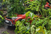 Hebri: Driver killed after tree falls on moving car